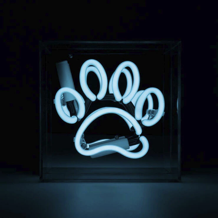 Loccomocean Mini Acrylic Box Neon - Paw - Blue 1 Loccomocean Mini Acrylic Box Neon - Paw - Blue