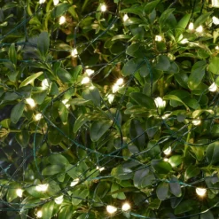 Sirius Knirke, Green, 1,6m+5m -Umage Salgsbutik 5707310307533 2