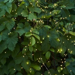 Sirius Knirke, Green, 15x(0,45-1,5m)+5m -Umage Salgsbutik 5707310307618 2